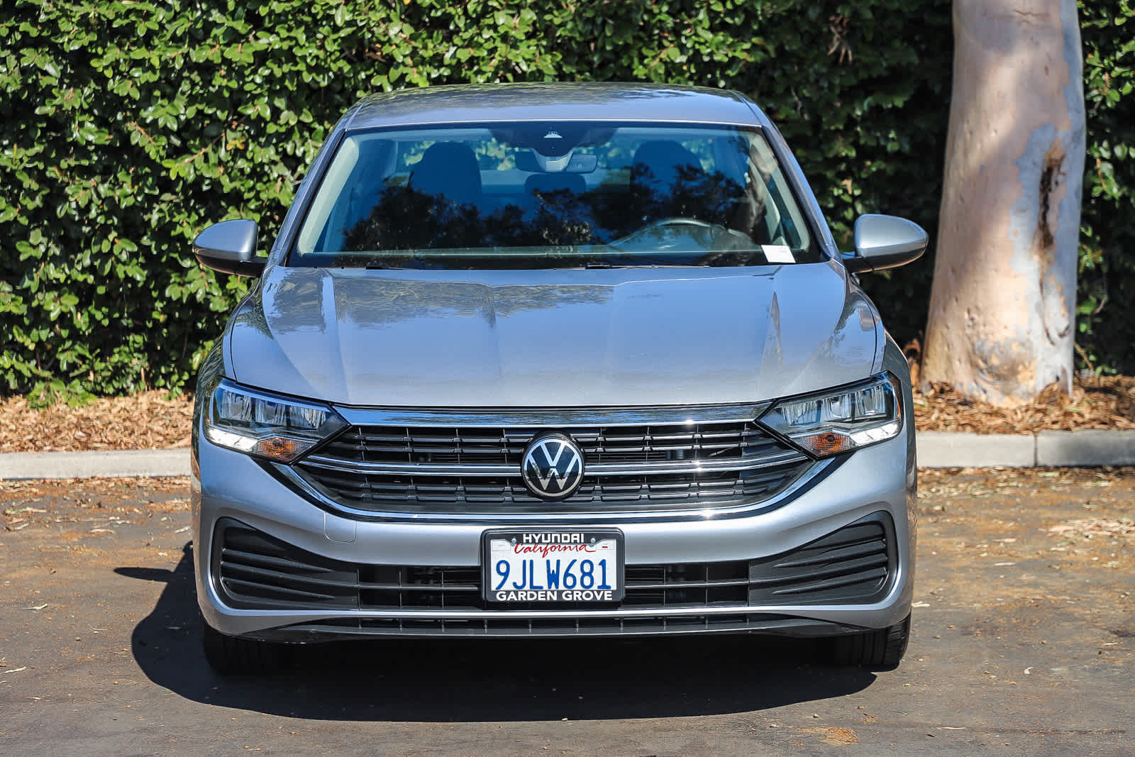 3VW5M7BU6RM056695