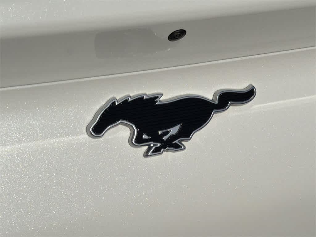 Thumbnail: 2021 Ford Mustang Mach-E - 33