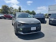  Kia Niro EV