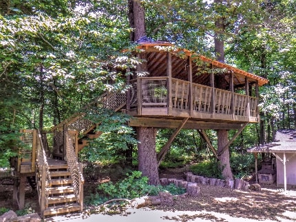 Pavilion_Treehouse-scaled-430x322.jpg