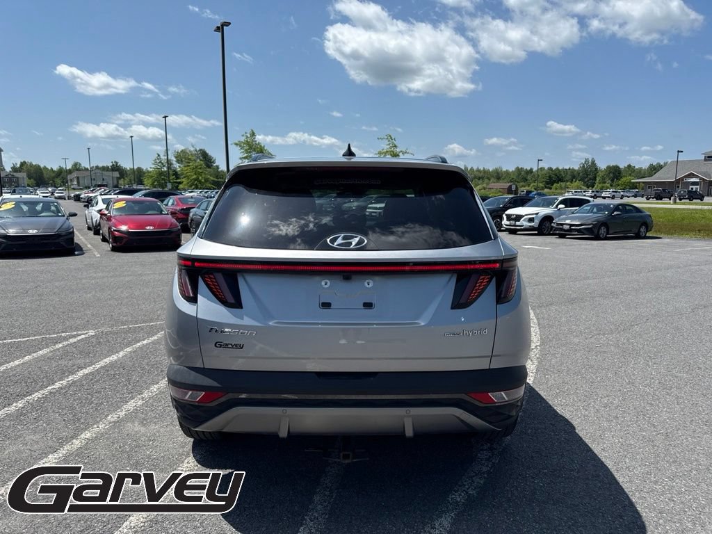 2024 Hyundai Tucson Limited - Photo 6