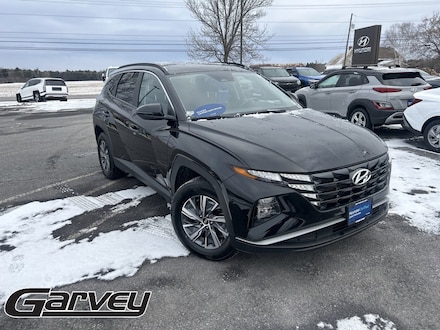 2023 Hyundai Tucson Hybrid Blue Blue AWD