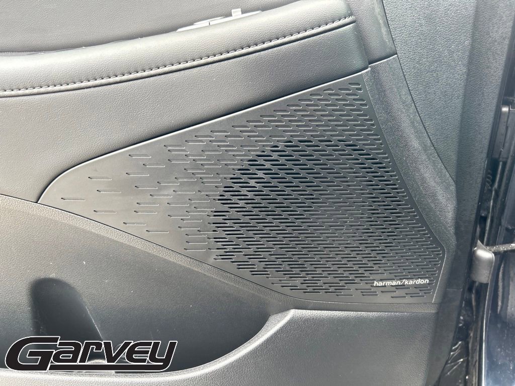 2024 Hyundai Palisade Limited - Photo 15