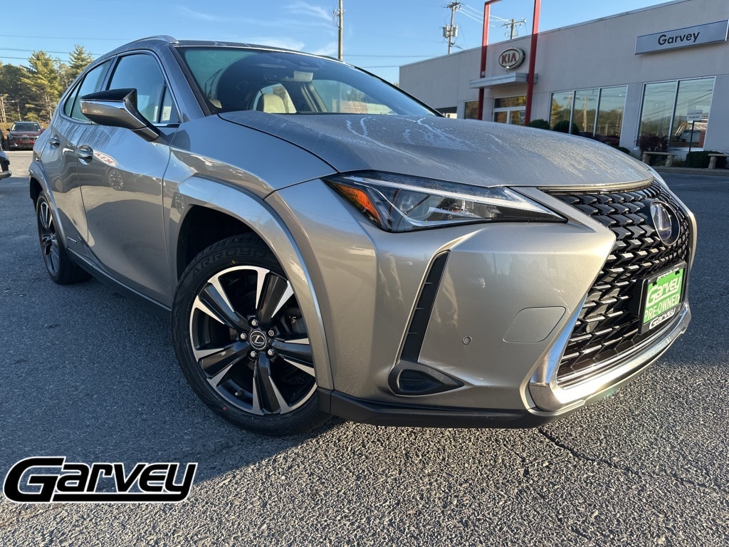2022 Lexus UX Hybrid 250h's photo
