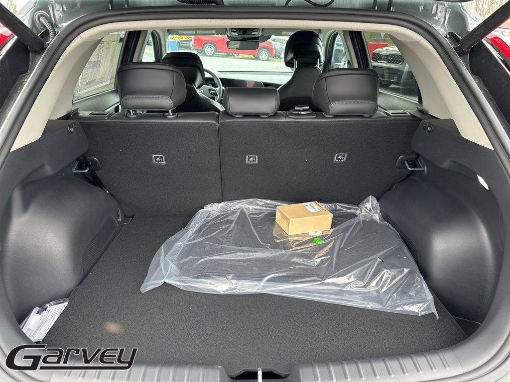 2025 Kia Niro SX Touring - Photo 6