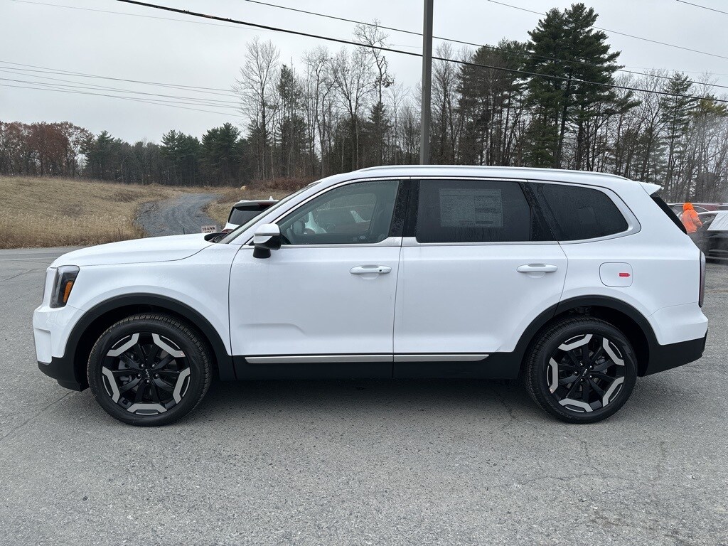 2025 Kia Telluride EX photo 3