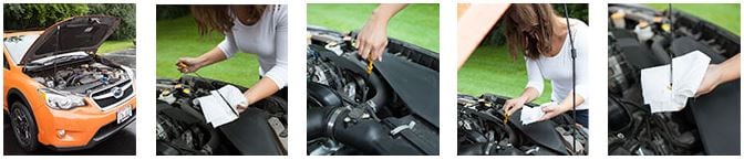Checking Your Engines Oil.JPG