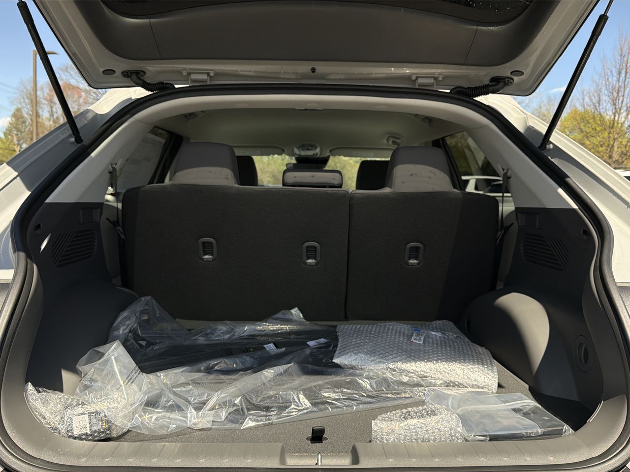 2025 Hyundai IONIQ 5 SEL - Photo 28