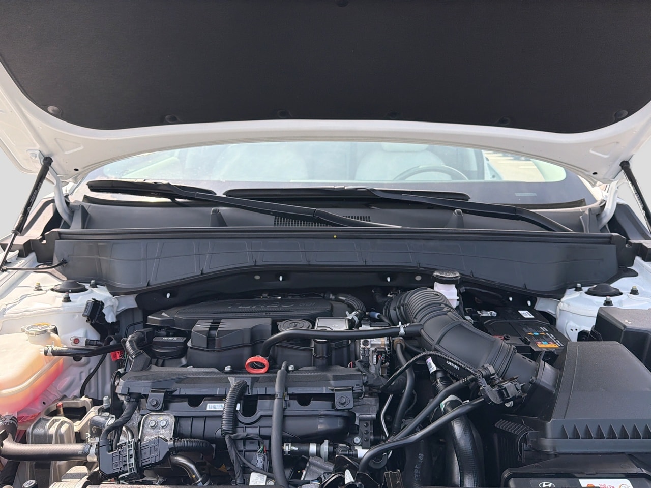 2024 Hyundai Kona Limited - Photo 15
