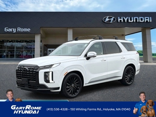 2024 Hyundai Palisade Calligraphy Night Edition AWD's photo