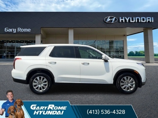 2025 Hyundai Palisade SE - Photo 9