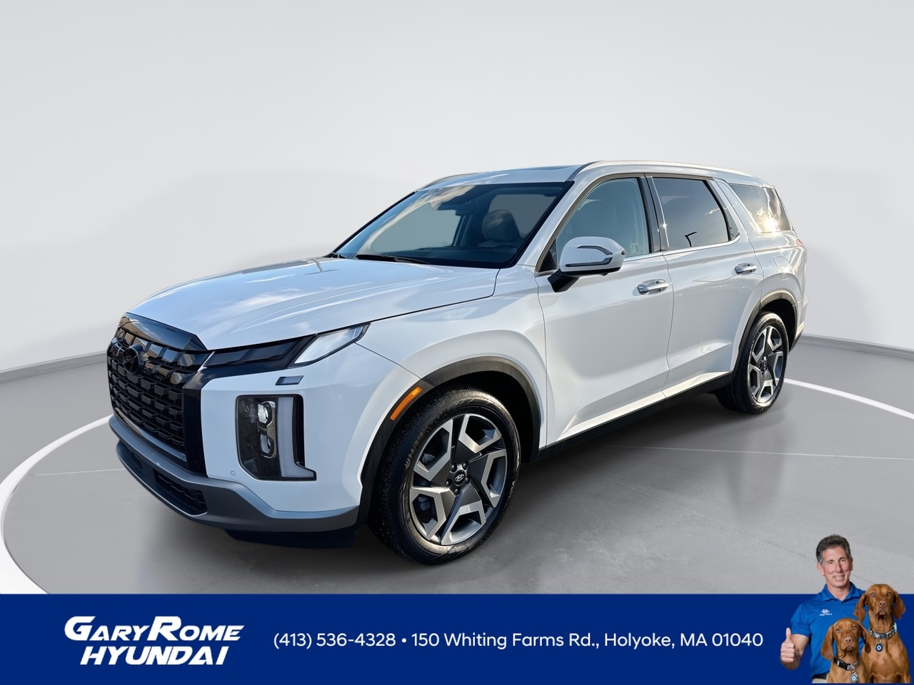2025 Hyundai Palisade SEL Premium's photo