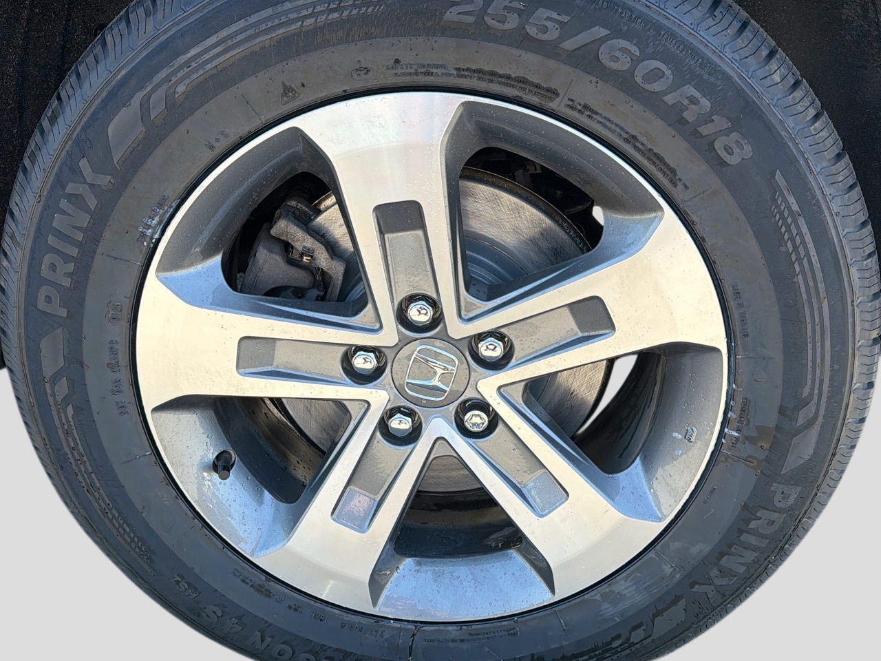 2025 Honda Pilot EX-L - Photo 14