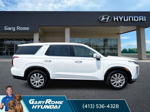 2025 Hyundai Palisade SE - Photo 11