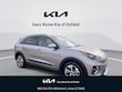  Kia Niro EV