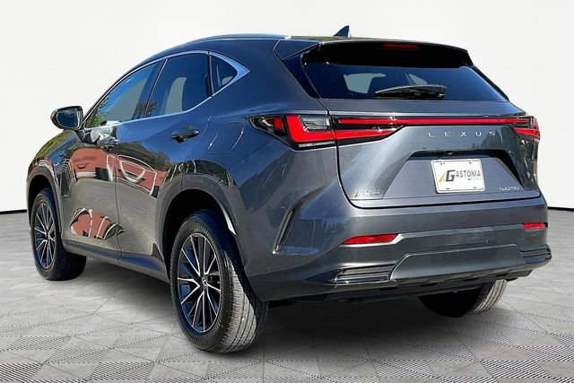 2023 Lexus NX 250 photo 4