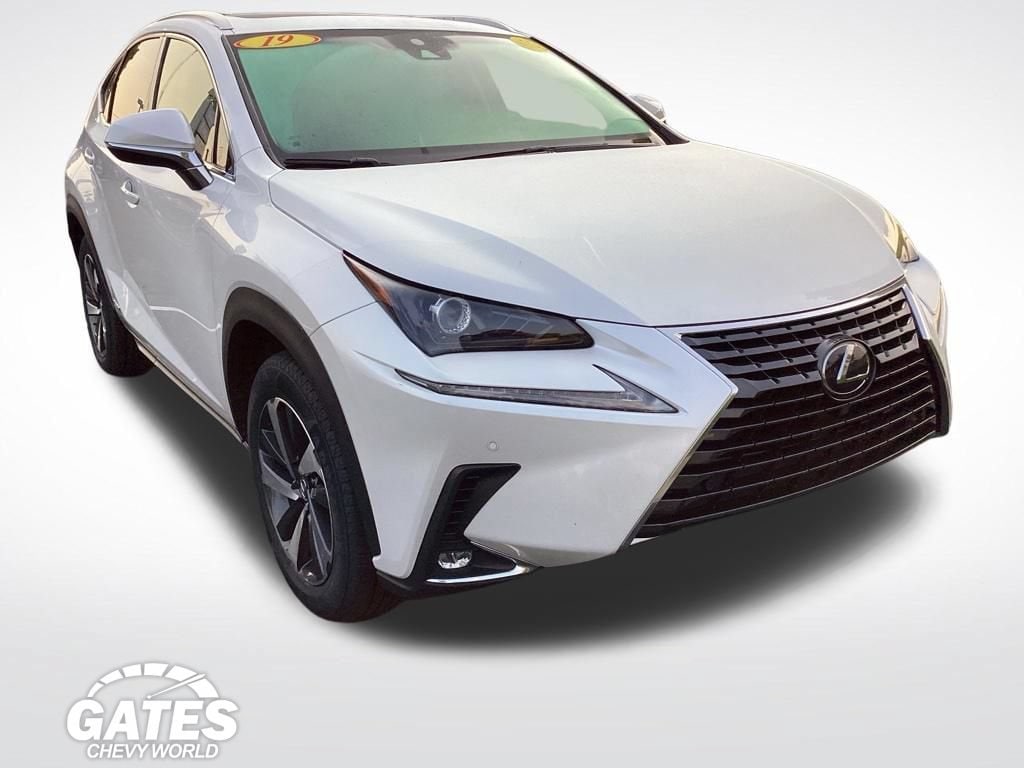 2019 LEXUS NX NX 300h