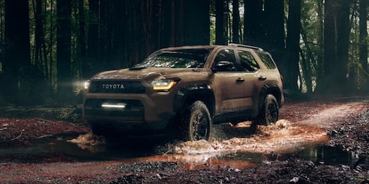 Toyota 4Runner near South Bend IN