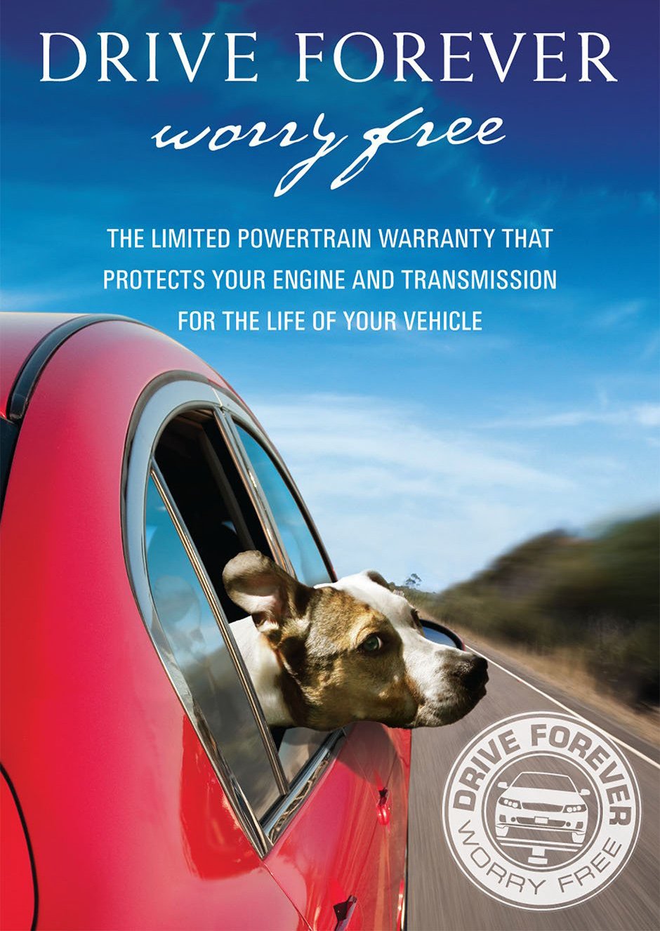 Whippet On Board Blue Personalised Dog On Board Car Safety Sign