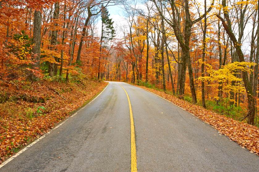 fall driving.jpg