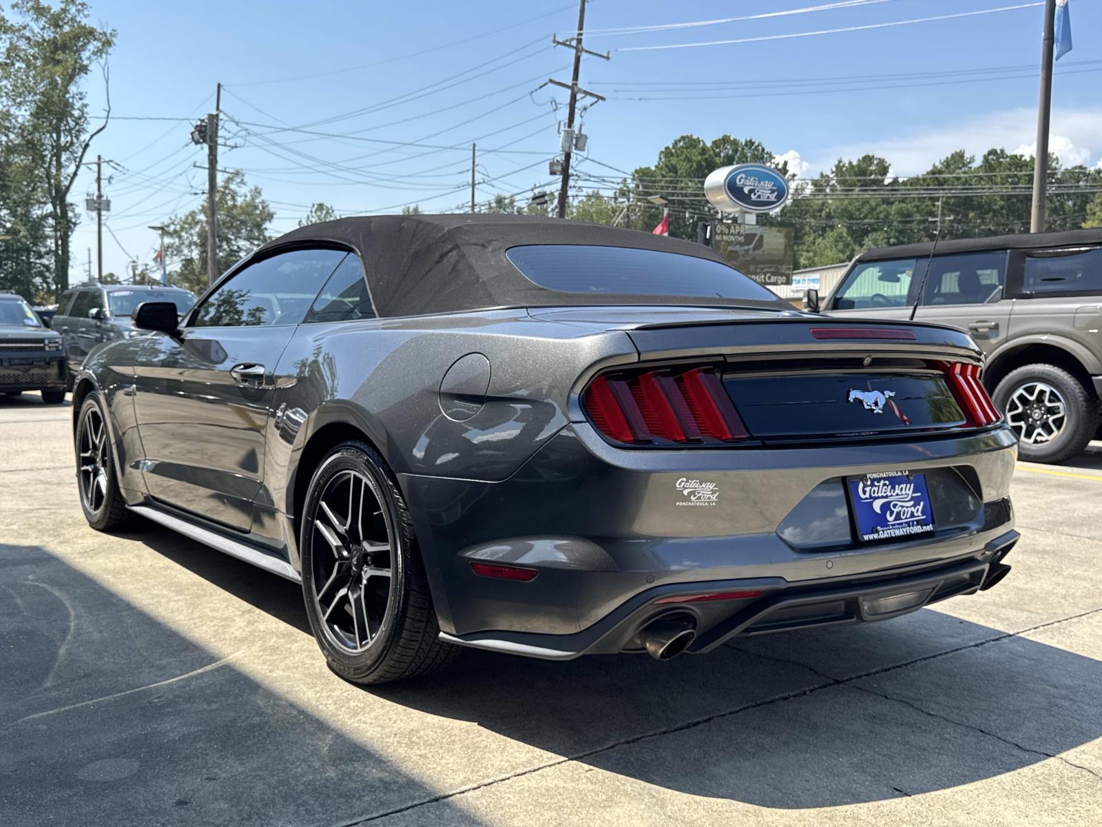 2019 Ford Mustang EcoBoost Premium Convertible photo 3