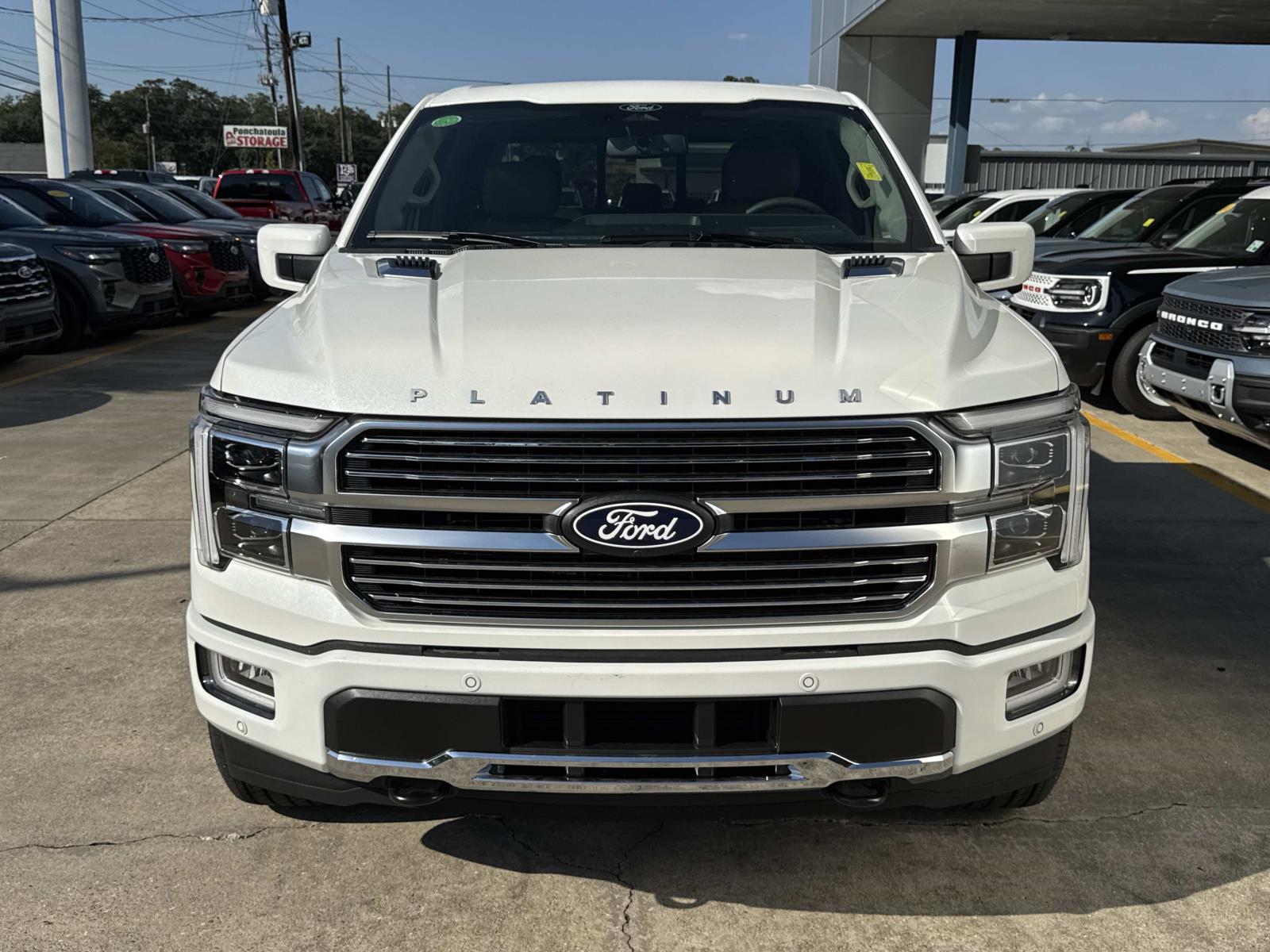 2025 Ford F-150 Platinum photo 2