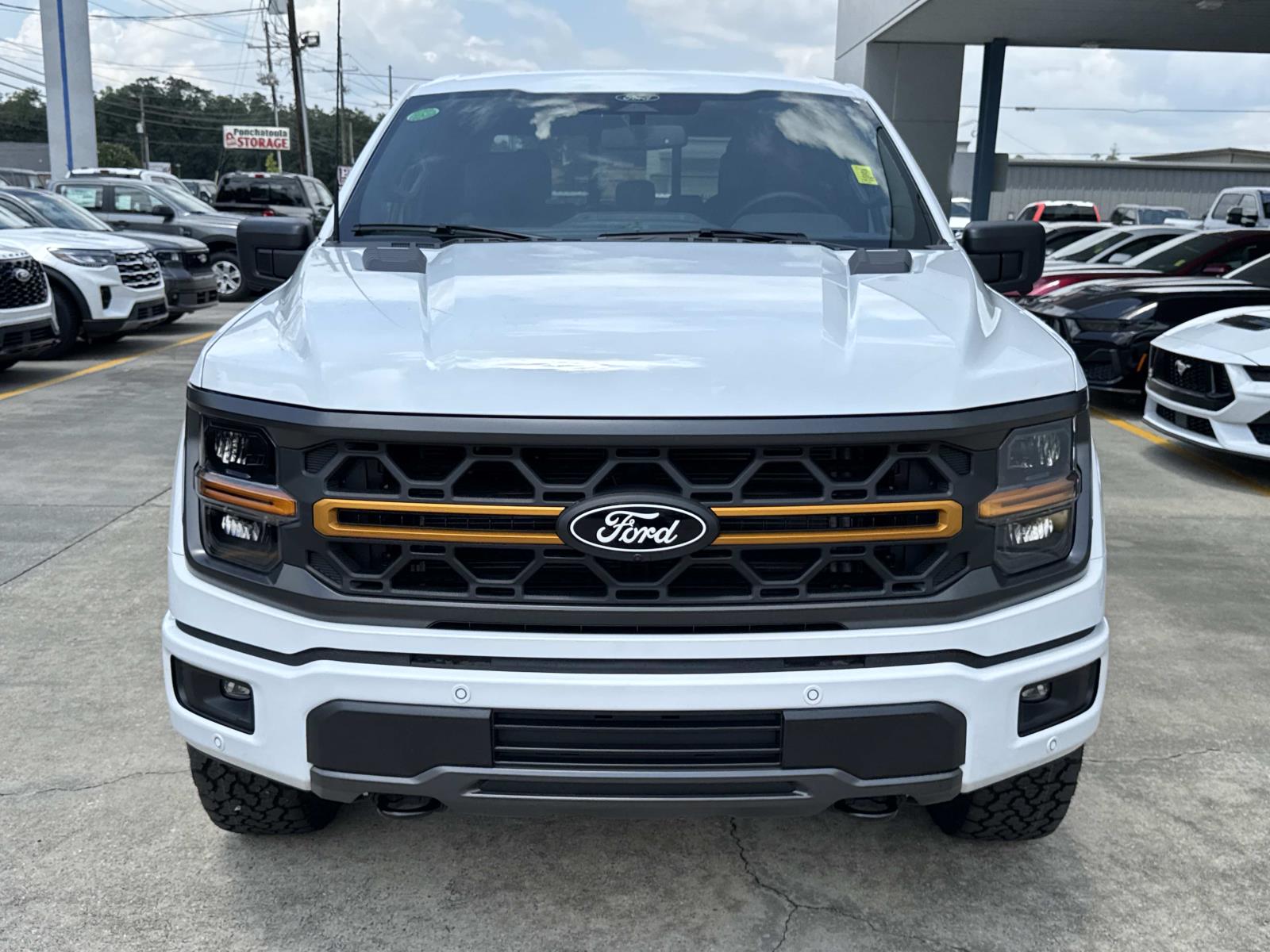 2025 Ford F-150 Tremor photo 2