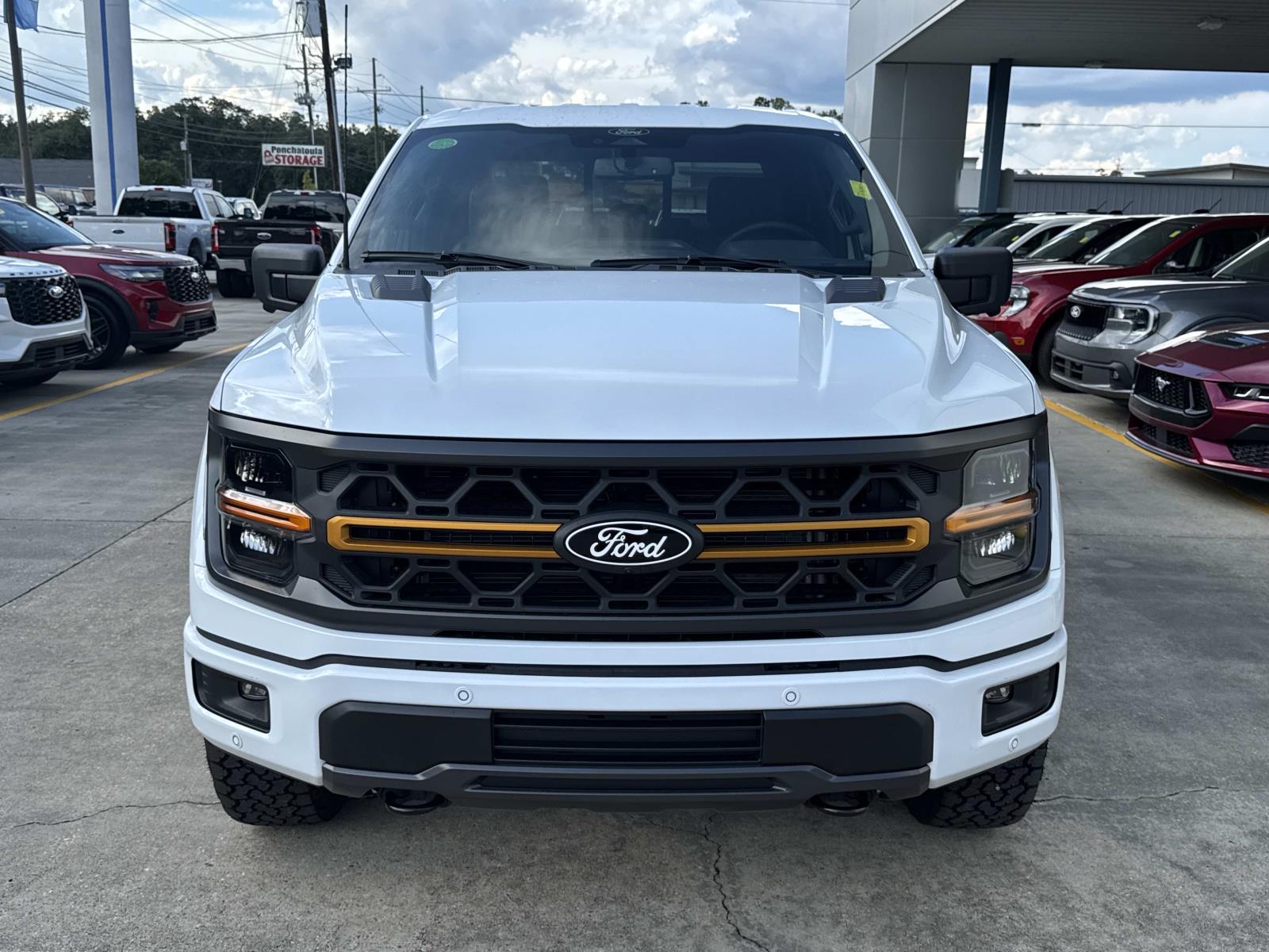 2025 Ford F-150 Tremor photo 2