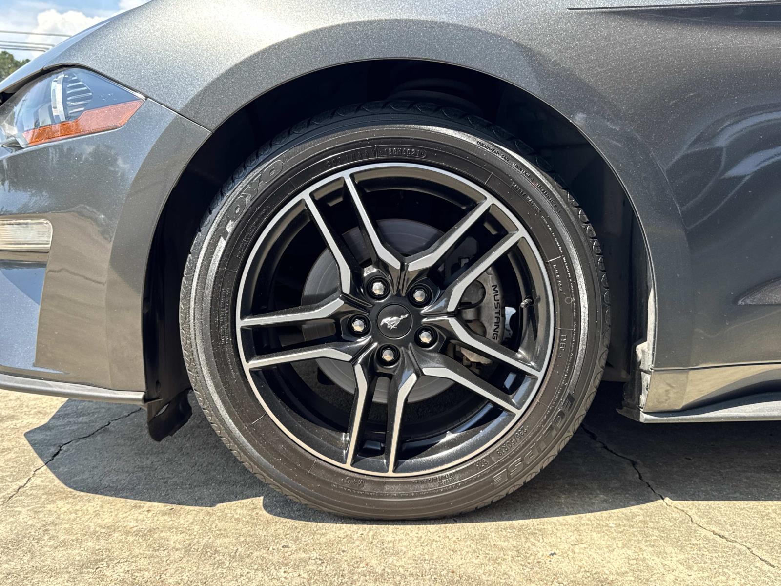 2019 Ford Mustang EcoBoost Premium Convertible photo 2