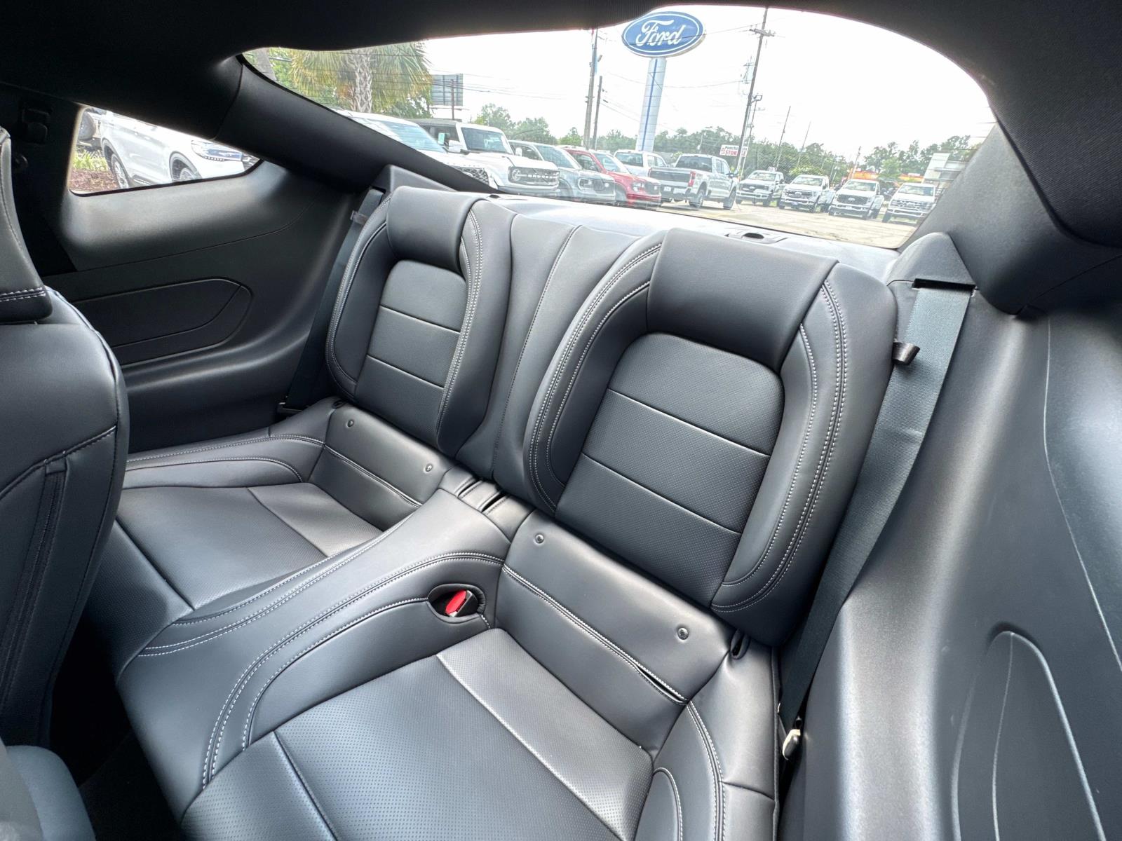 2025 Ford Mustang GT Premium photo 4