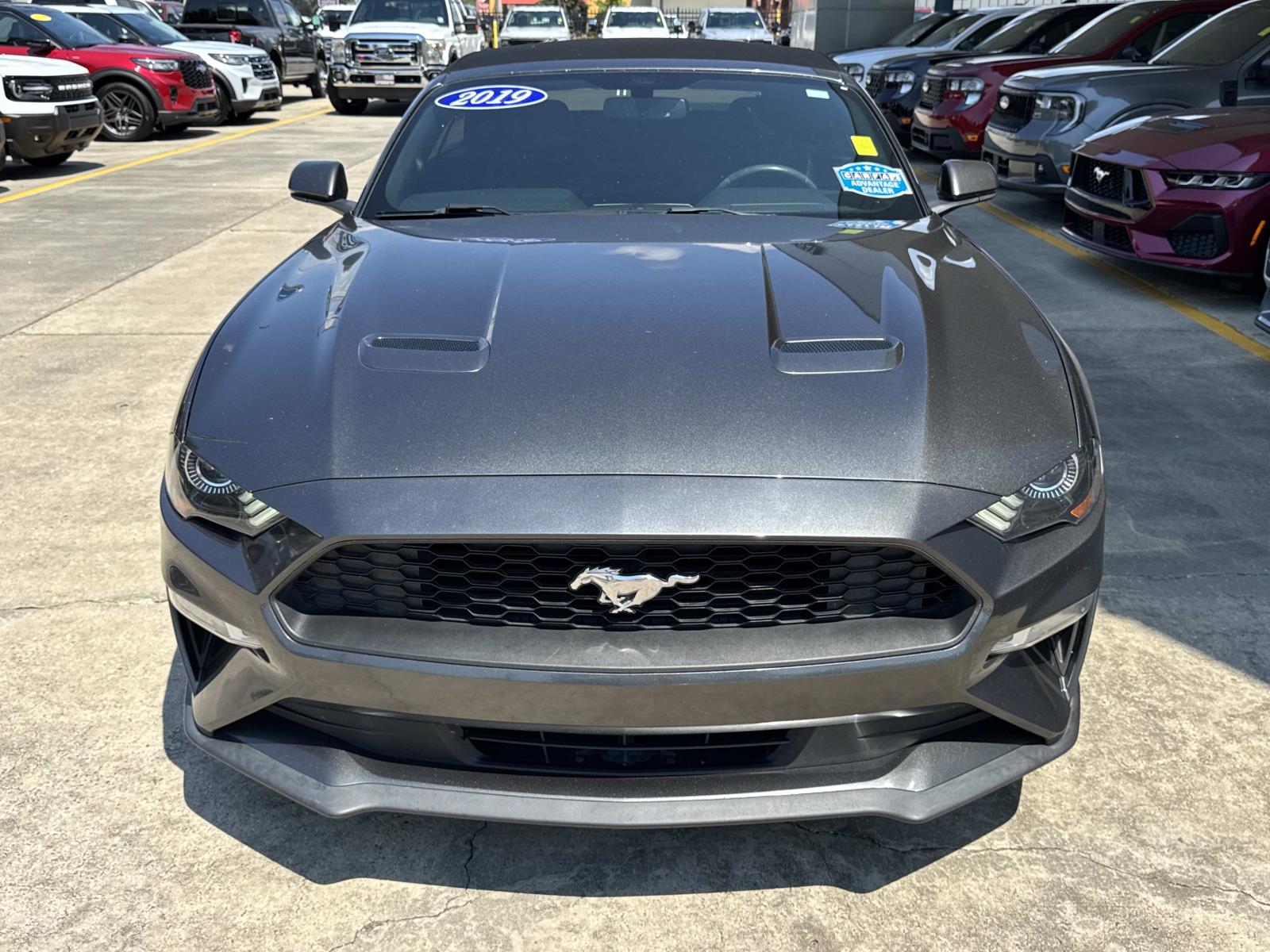 Used 2019 Ford Mustang EcoBoost Premium with VIN 1FATP8UH0K5149141 for sale in Ponchatoula, LA
