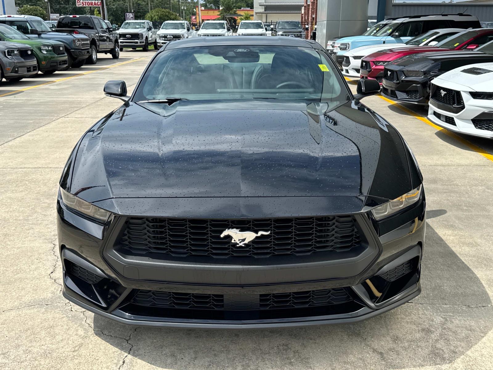 2025 Ford Mustang EcoBoost Premium photo 2