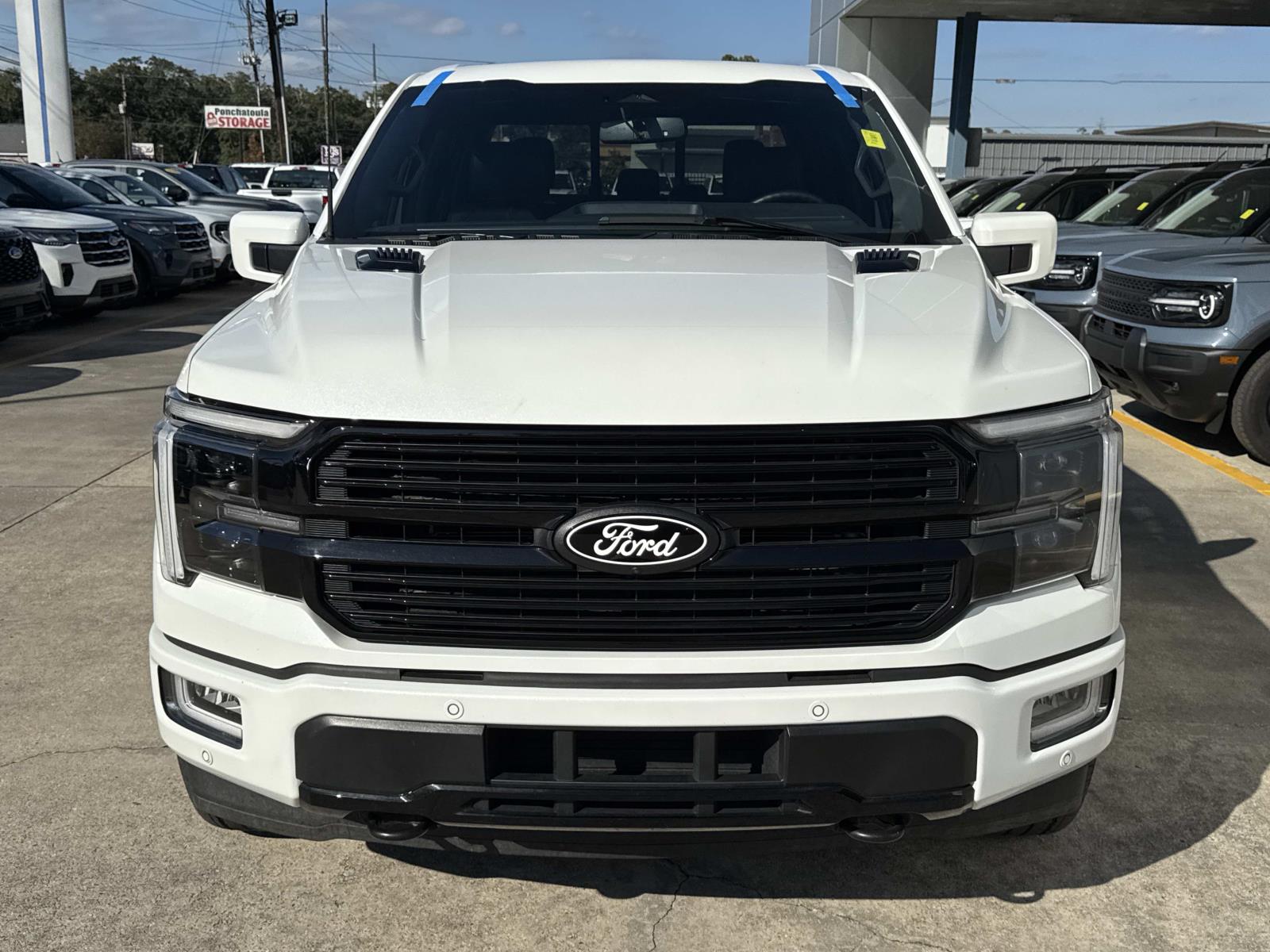 2025 Ford F-150 Platinum photo 2