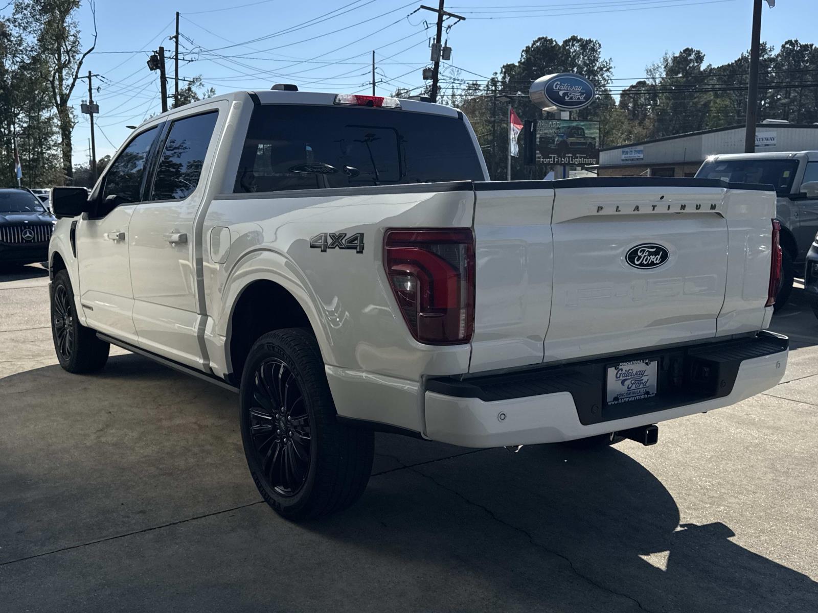 2025 Ford F-150 Platinum photo 4