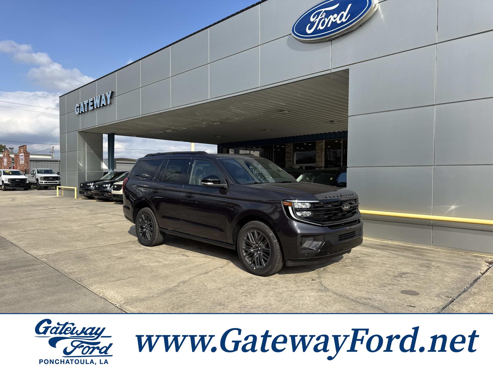 2025 Ford Expedition Platinum's photo