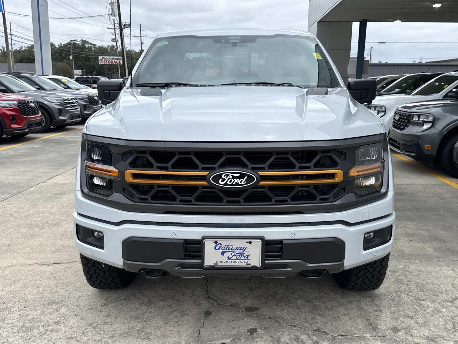 2025 Ford F-150 Tremor photo 2