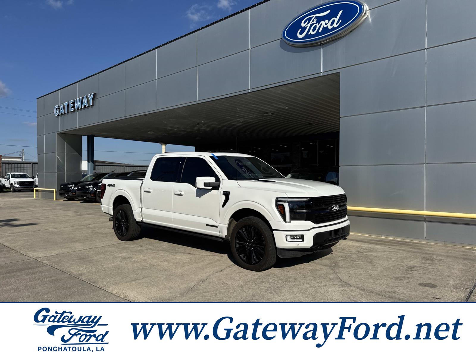 2025 Ford F-150 Platinum's photo