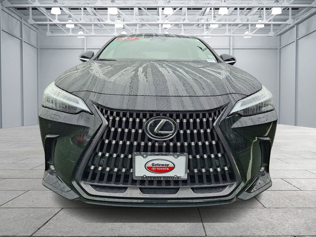 2024 Lexus NX 350 Luxury photo 2