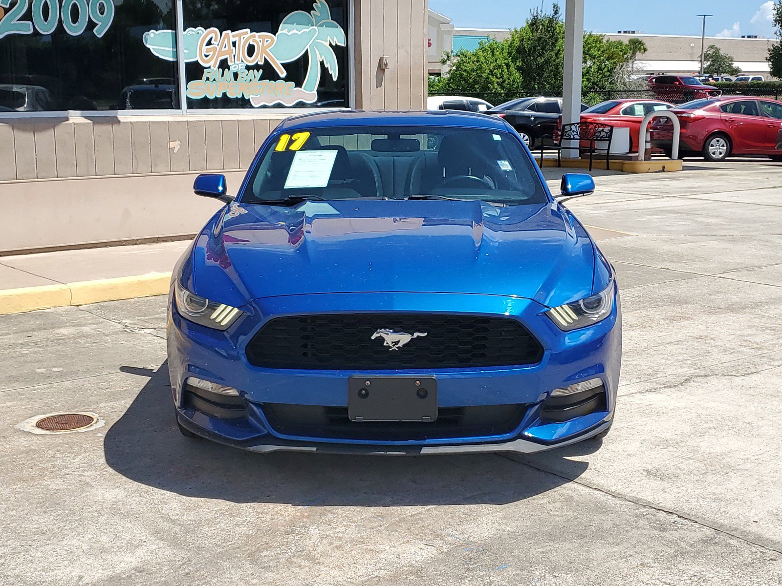 Used 2017 Ford Mustang V6 with VIN 1FA6P8AM7H5300743 for sale in Melbourne, FL