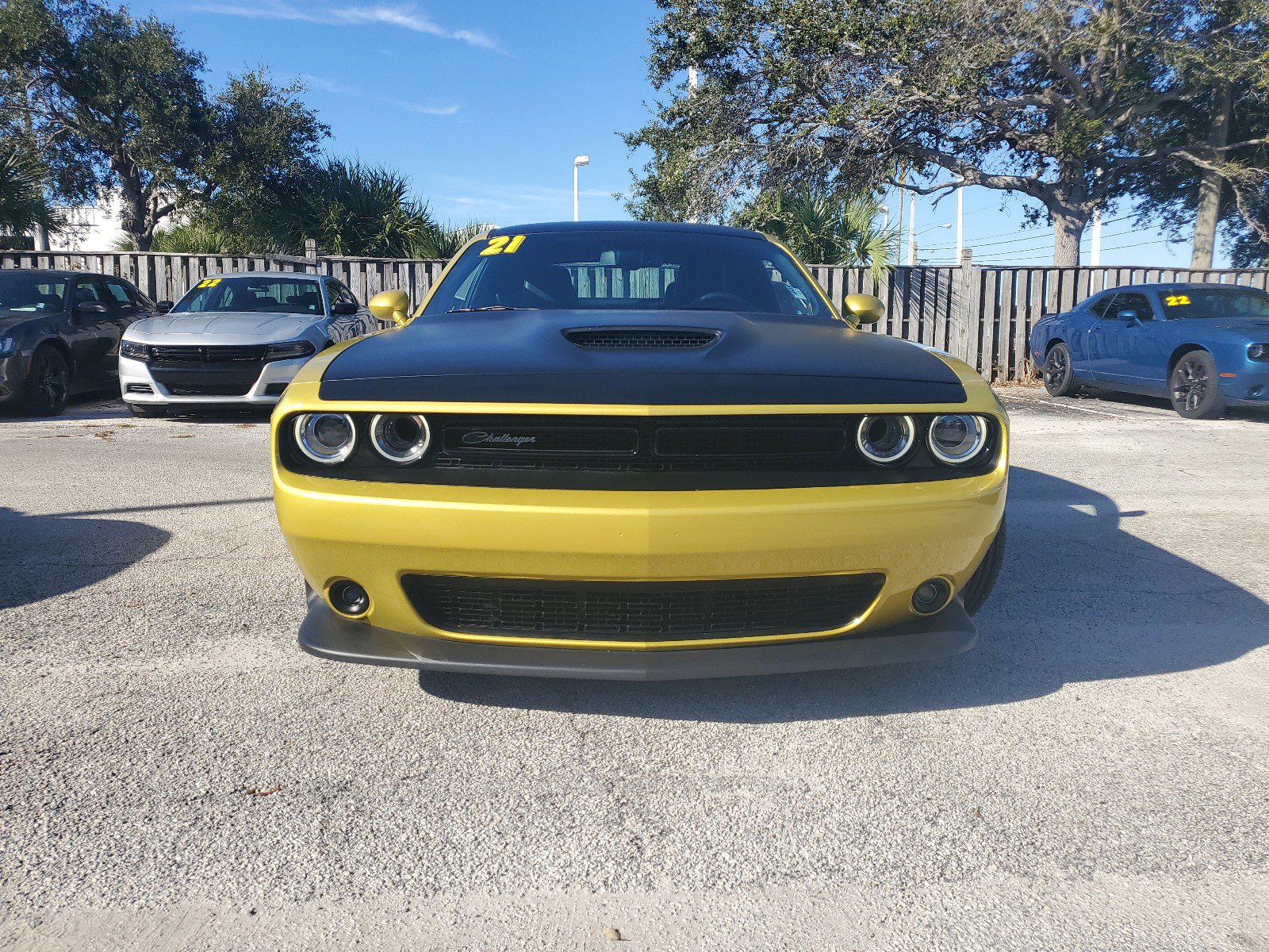 Used 2021 Dodge Challenger R/T with VIN 2C3CDZBT8MH564191 for sale in Melbourne, FL