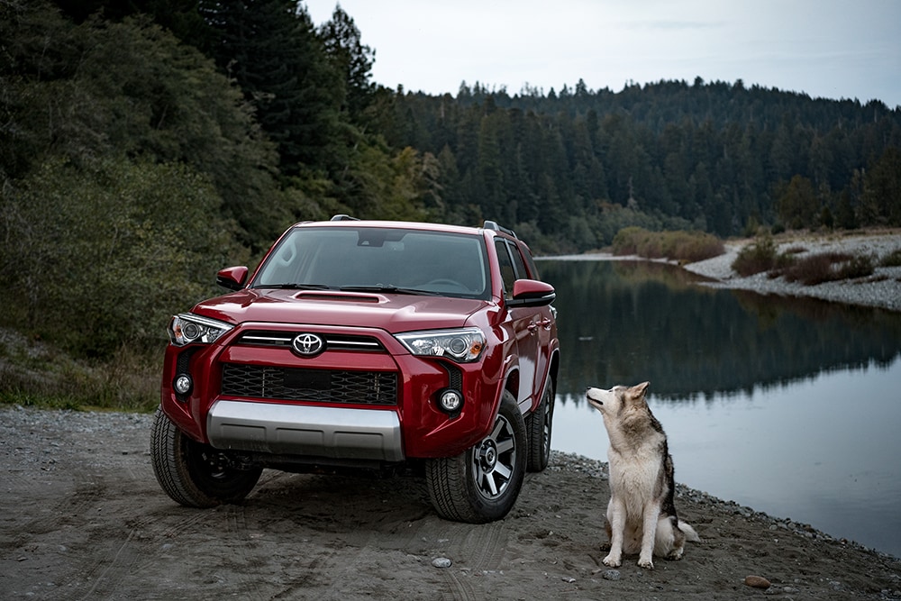 Used Toyota in Taylor & Scranton, PA Gaughan Auto Store