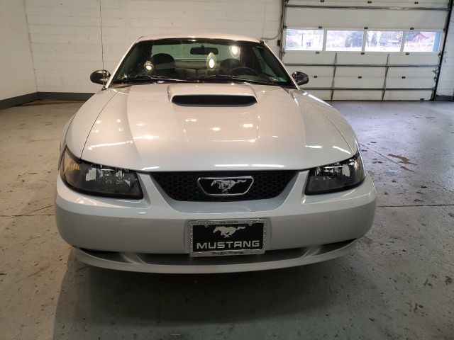 2004 Ford Mustang GT Deluxe - Photo 8