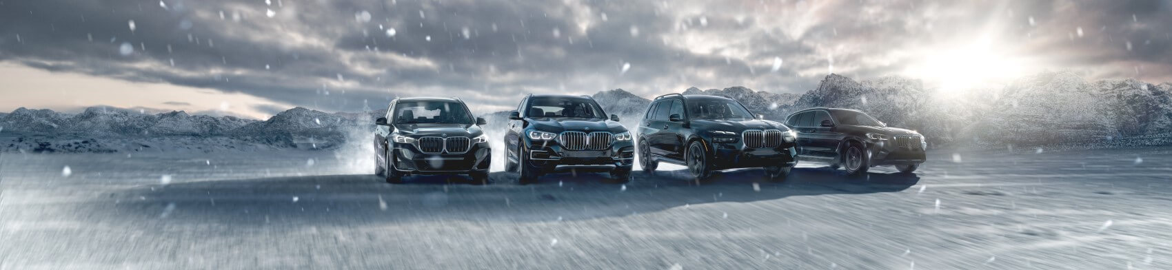 BMW Dealer near Longmont CO