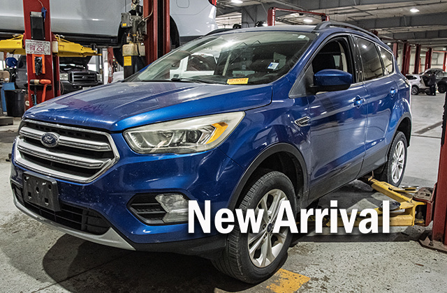 Used 2017 Ford Escape SE SUV