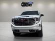 2025 GMC Sierra 1500 Denali Truck