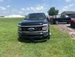 2025 Ford F-450SD Platinum Truck
