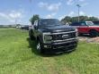 2025 Ford F-450SD Platinum Truck