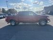 2014 Ford F-150 XLT Truck