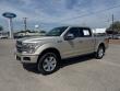2018 Ford F-150 Platinum Truck
