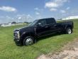 2025 Ford F-450SD Platinum Truck